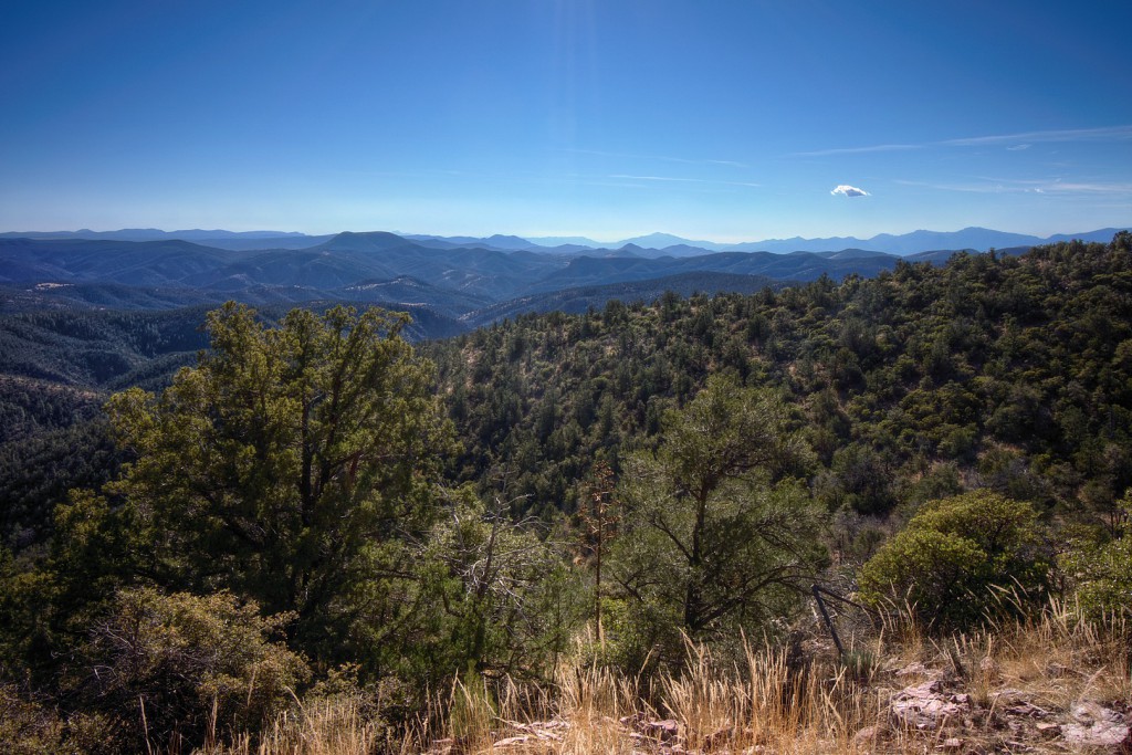 Hell’s Gate Wilderness: Bear Flat Trail / Mail Trail – buettner.to blog