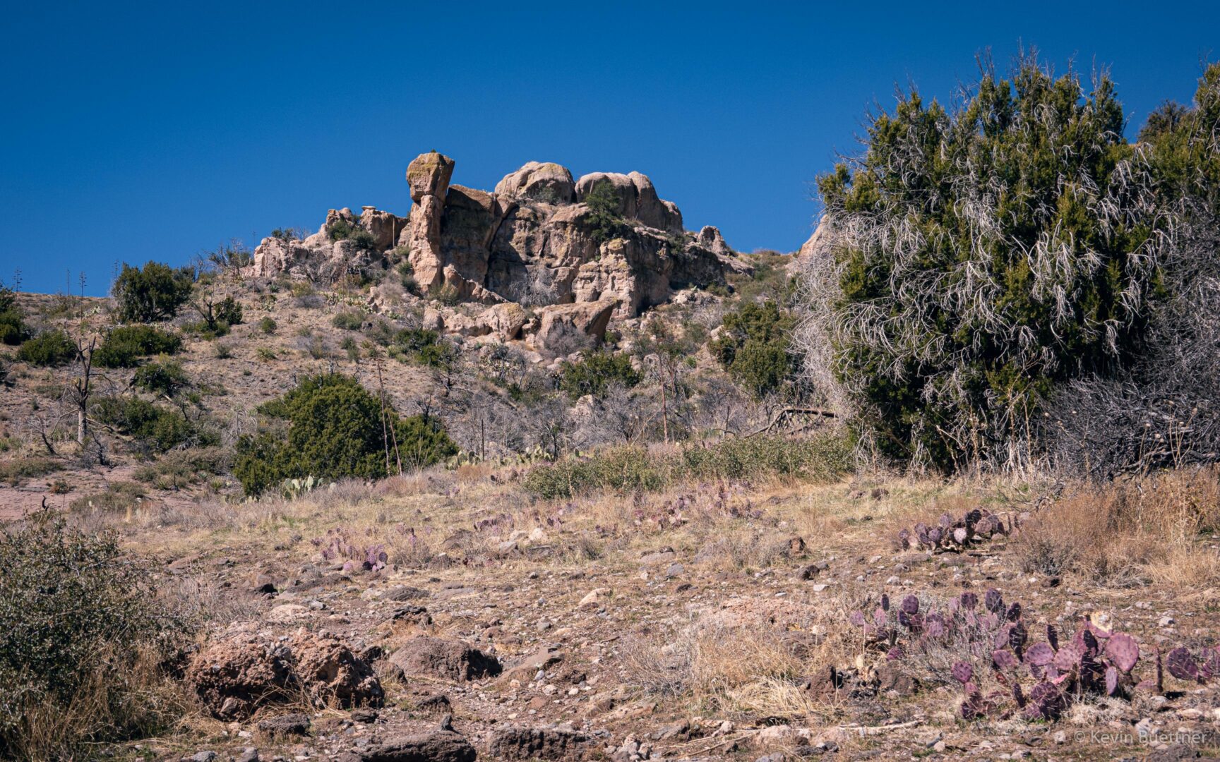 Tonto National Forest Buettner To Blog   20210221 DSC05725 1728x1080 